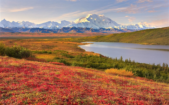 Parque Nacional Denali, Alaska, EE.UU., hierba, lago, montañas Fondos de pantalla, imagen