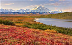 Parque Nacional Denali, Alaska, EE.UU., hierba, lago, montañas HD fondos de pantalla