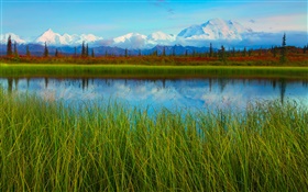 Parque Nacional Denali, Alaska, EE.UU., lago, hierba, árboles