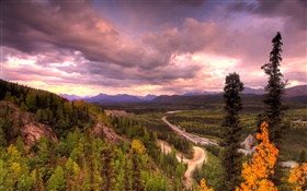 Parque Nacional Denali, Alaska, EE.UU., camino, árboles, nubes HD fondos de pantalla