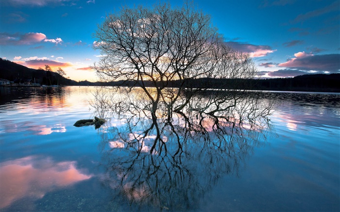 Anochecer, los árboles en el lago, la reflexión del agua, puesta del sol Fondos de pantalla, imagen