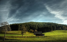 Campos agrícolas, casa, árboles, nubes HD fondos de pantalla