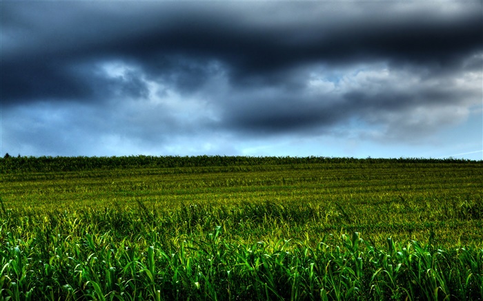 paisaje tierras de cultivo, las nubes, la oscuridad Fondos de pantalla, imagen