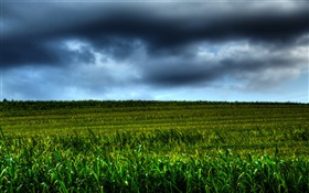 paisaje tierras de cultivo, las nubes, la oscuridad