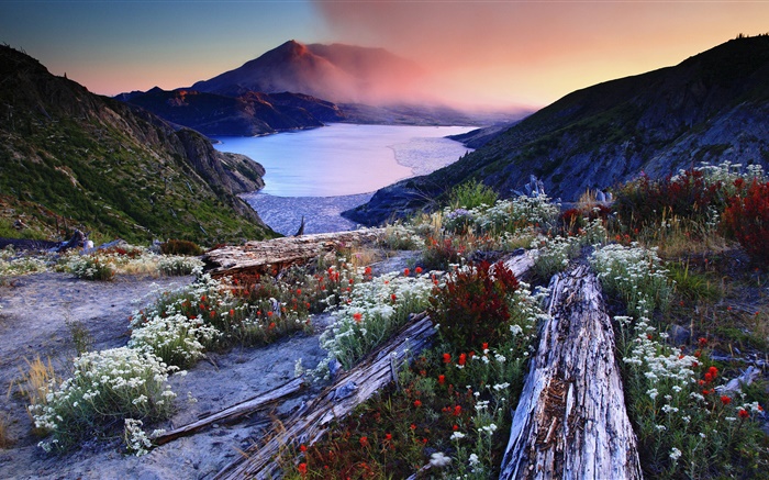 Flores, de pendiente, al lago volcánico, árboles, montañas, Amanecer, Niebla Fondos de pantalla, imagen