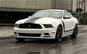Ford Mustang Boss 302 coche blanco