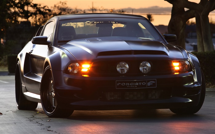 Ford Mustang GT Forgiato coche negro Fondos de pantalla, imagen
