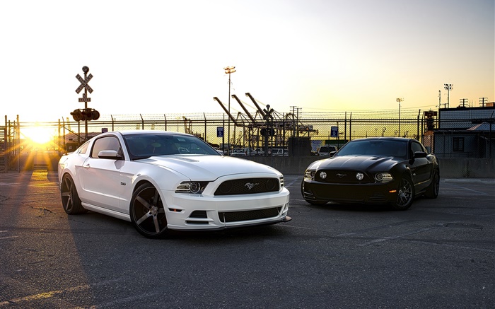 Coches blancos y negros Ford Mustang Fondos de pantalla, imagen