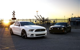 Coches blancos y negros Ford Mustang HD fondos de pantalla