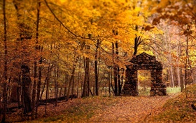 Bosque, árboles, otoño, estilo rojo, puerta de piedra HD fondos de pantalla