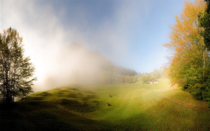Hierba, niebla, mañana, casa, Glarus, Suiza Fondos de pantalla, imagen