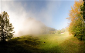 Hierba, niebla, mañana, casa, Glarus, Suiza HD fondos de pantalla