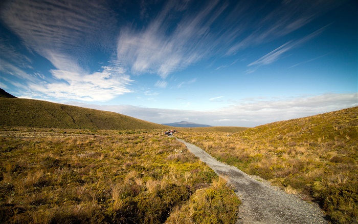 Camino de la grava, hierba, Península de Coromandel, Nueva Zelanda Fondos de pantalla, imagen