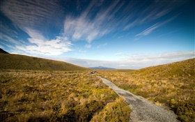 Camino de la grava, hierba, Península de Coromandel, Nueva Zelanda