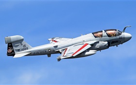 Aviones Grumman EA-6B Prowler