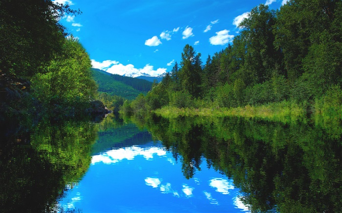 Lago, bosque, árboles, el cielo azul, la reflexión del agua Fondos de pantalla, imagen