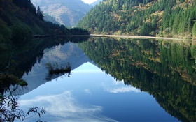 Lago, montañas, árboles, reflexión del agua