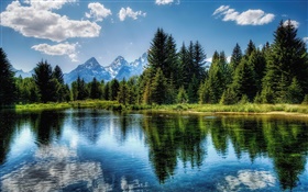 Lago, árboles, montañas, nubes, reflexión del agua HD fondos de pantalla