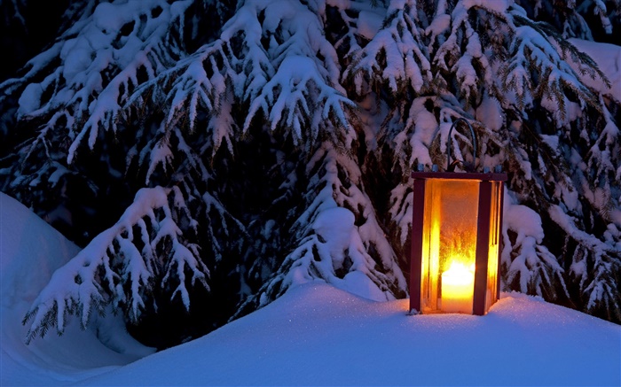 Linterna encendida, árbol cubierto de nieve, invierno Fondos de pantalla, imagen
