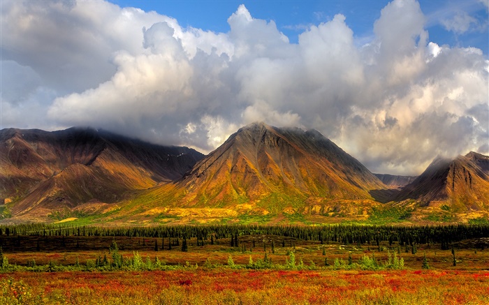 Las montañas, los árboles, las nubes, el Parque Nacional de Denali, Alaska, EE.UU. Fondos de pantalla, imagen