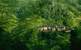 Montañas, árboles, verde, casa antigua, paisaje chino HD fondos de pantalla