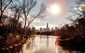 parque, puesta del sol, ciudad, EE.UU., río, árboles, otoño HD fondos de pantalla
