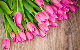 Tulipanes de color rosa, tablero de madera