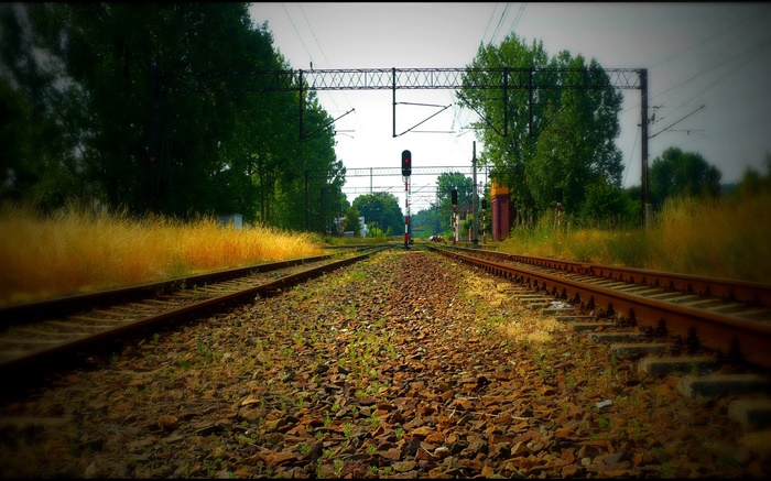 ferrocarril, árboles, líneas de energía, la luz roja Fondos de pantalla, imagen
