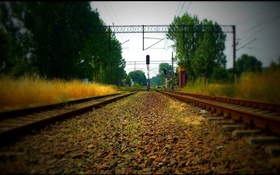 ferrocarril, árboles, líneas de energía, la luz roja HD fondos de pantalla