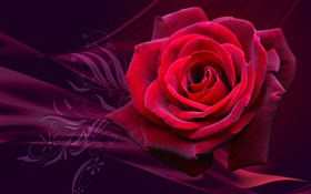 Rosa roja flor de cerca