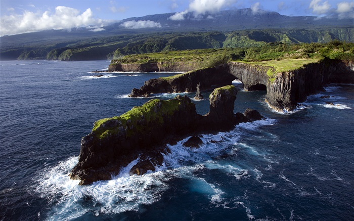 Costa rocosa, Océano Pacífico, Maui, Hawaii Fondos de pantalla, imagen