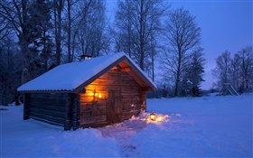Nieve, casa de madera, árboles desnudos, invierno, noche, Suecia