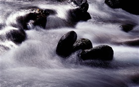 Corriente, río, piedra negro