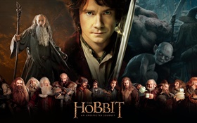 El Hobbit: Un Viaje Inesperado, con pantalla grande de la película HD fondos de pantalla