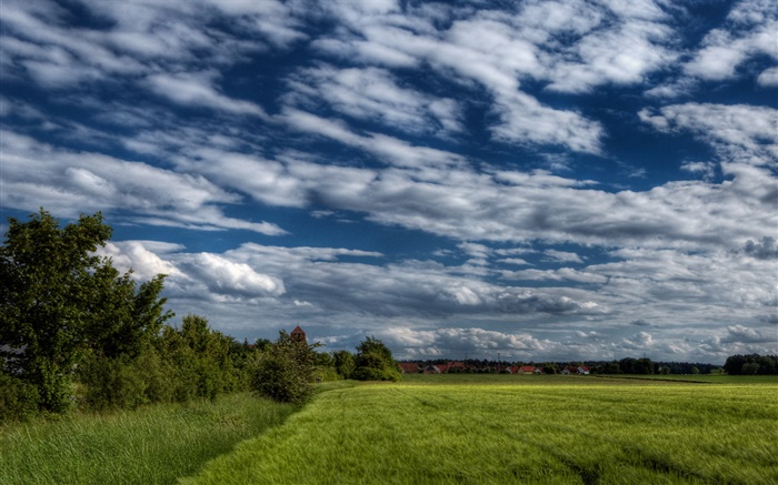 Árboles, campo, casa, nubes Fondos de pantalla, imagen