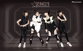 2NE1, niñas de música coreana 07 HD fondos de pantalla