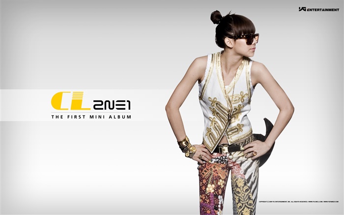 2NE1, niñas de música coreana 09 Fondos de pantalla, imagen