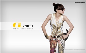 2NE1, niñas de música coreana 09 HD fondos de pantalla