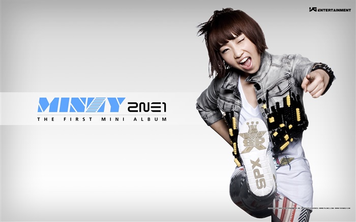 2NE1, niñas de música coreana 11 Fondos de pantalla, imagen