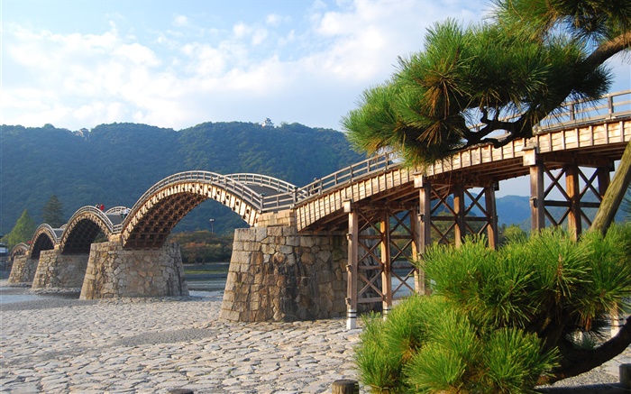 Puente de madera en arco, árboles Fondos de pantalla, imagen