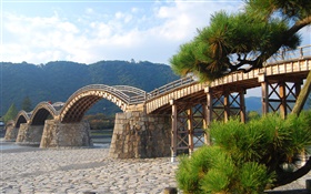 Puente de madera en arco, árboles HD fondos de pantalla