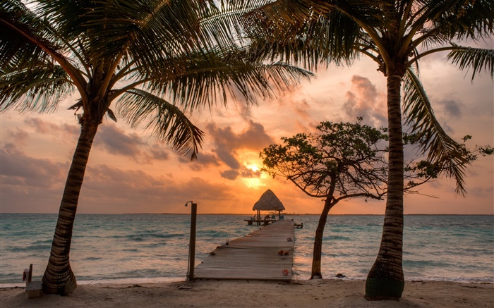 Playa, palmeras, embarcadero, cielo, nubes, puesta del sol Fondos de pantalla, imagen