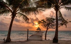 Playa, palmeras, embarcadero, cielo, nubes, puesta del sol HD fondos de pantalla