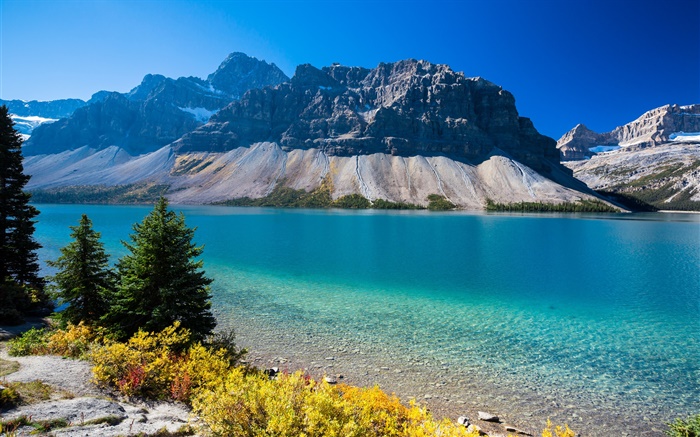 Bow Lake, Alberta, Canadá, montañas, árboles, cielo azul Fondos de pantalla, imagen