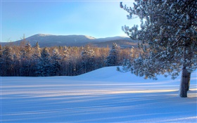 Pan Pan de la montaña, nieve, árboles, invierno, Vermont, EE.UU.