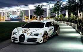 Bugatti Veyron supercar blanco, Nueva York, los árboles, la noche, las luces HD fondos de pantalla