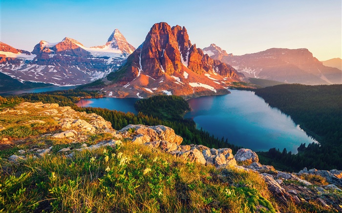 Canadá, Columbia Británica, lago, montaña, bosque, árboles Fondos de pantalla, imagen