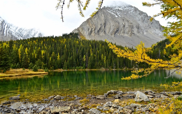 Chester Lago, Montañas Rocosas Canadienses, Alberta, Canadá, lago, montañas, bosques Fondos de pantalla, imagen