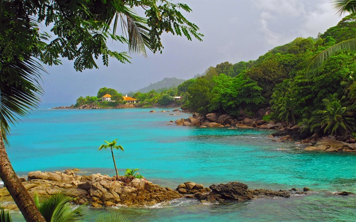 Costa, mar, los árboles, las casas, la isla de Seychelles Fondos de pantalla, imagen