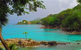Costa, mar, los árboles, las casas, la isla de Seychelles HD fondos de pantalla